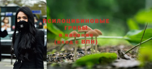 дживик Аркадак