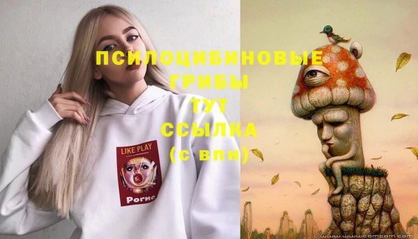 дживик Аркадак