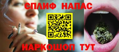 сатива Бийск