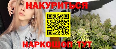 сатива Бийск