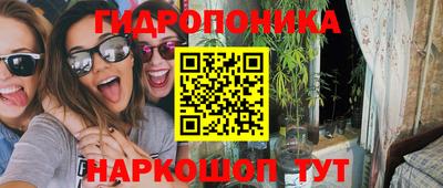 сатива Бийск