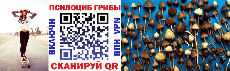 Псилоцибиновые грибы Magic Shrooms  ссылка на мегу вход  Волгодонск 