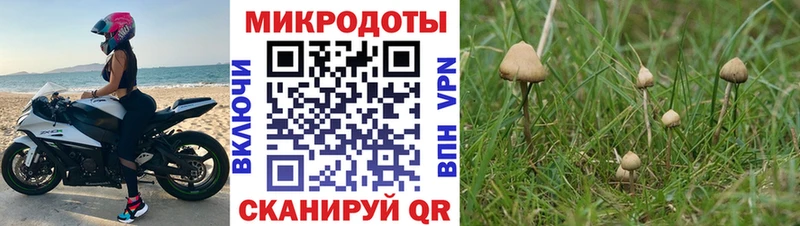 Галлюциногенные грибы прущие грибы Волгодонск