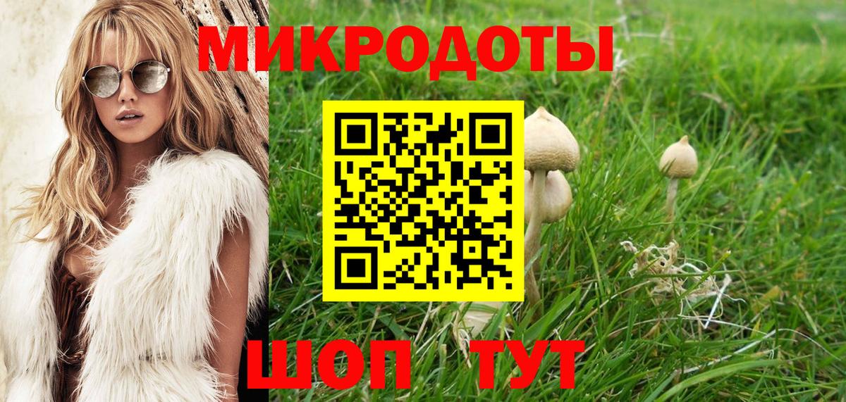 Волгодонск  Галлюциногенные грибы MAGIC MUSHROOMS  Вход с VPN 