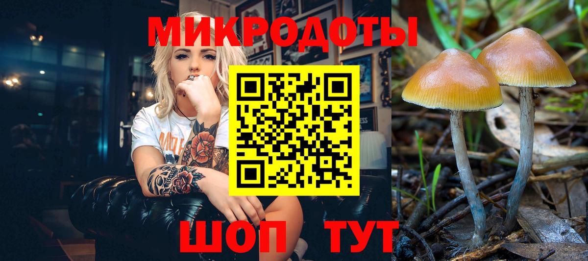 Псилоцибиновые грибы MAGIC MUSHROOMS Волгодонск