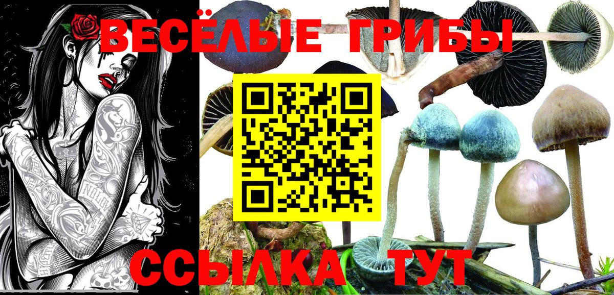 Галлюциногенные грибы ЛСД Волгодонск