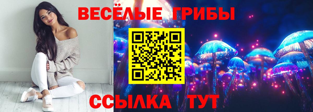 Волгодонск  Галлюциногенные грибы мухоморы  сколько стоит  Псилоцибиновые грибы Cubensis  Вход с VPN 