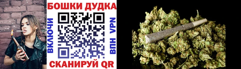 Каннабис план  наркота  Волгодонск 